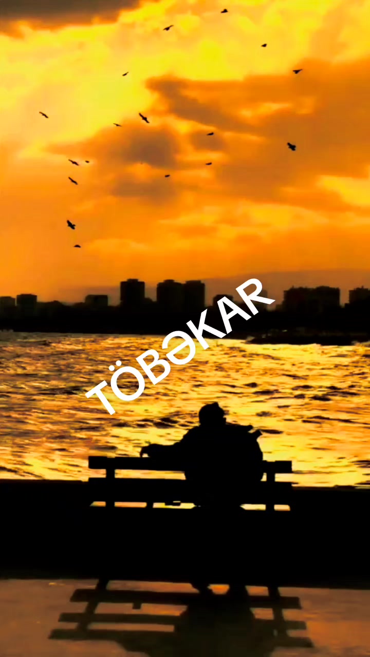 @🖤T&Ouml;VBƏKAR 🖤