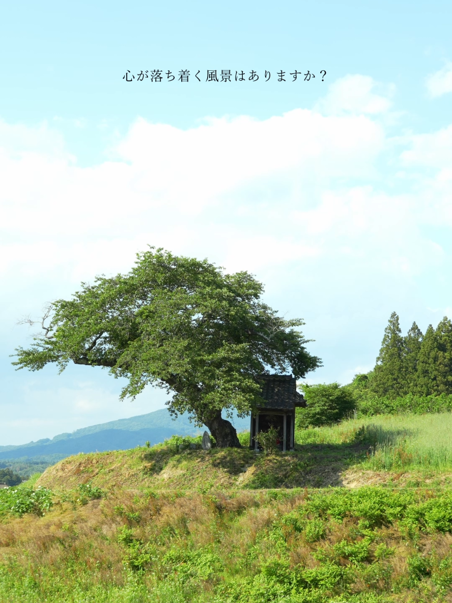 @ほんとの日本