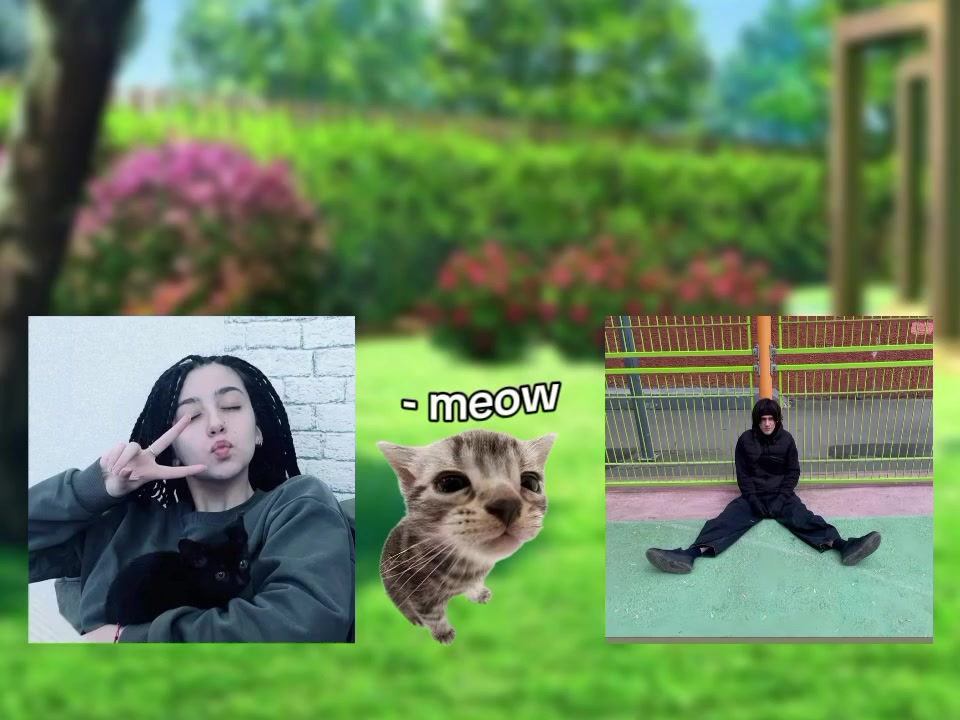 @๐ฑ๐ถ๐๐๐ถ/ ๐
๐๐๐๐๐๐พ๐ธ๐ฝ