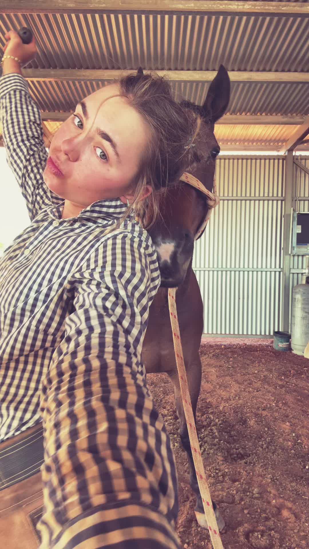@AVAMAY