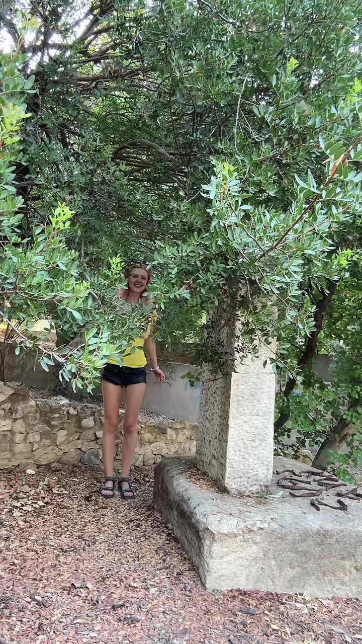 @alaniroza