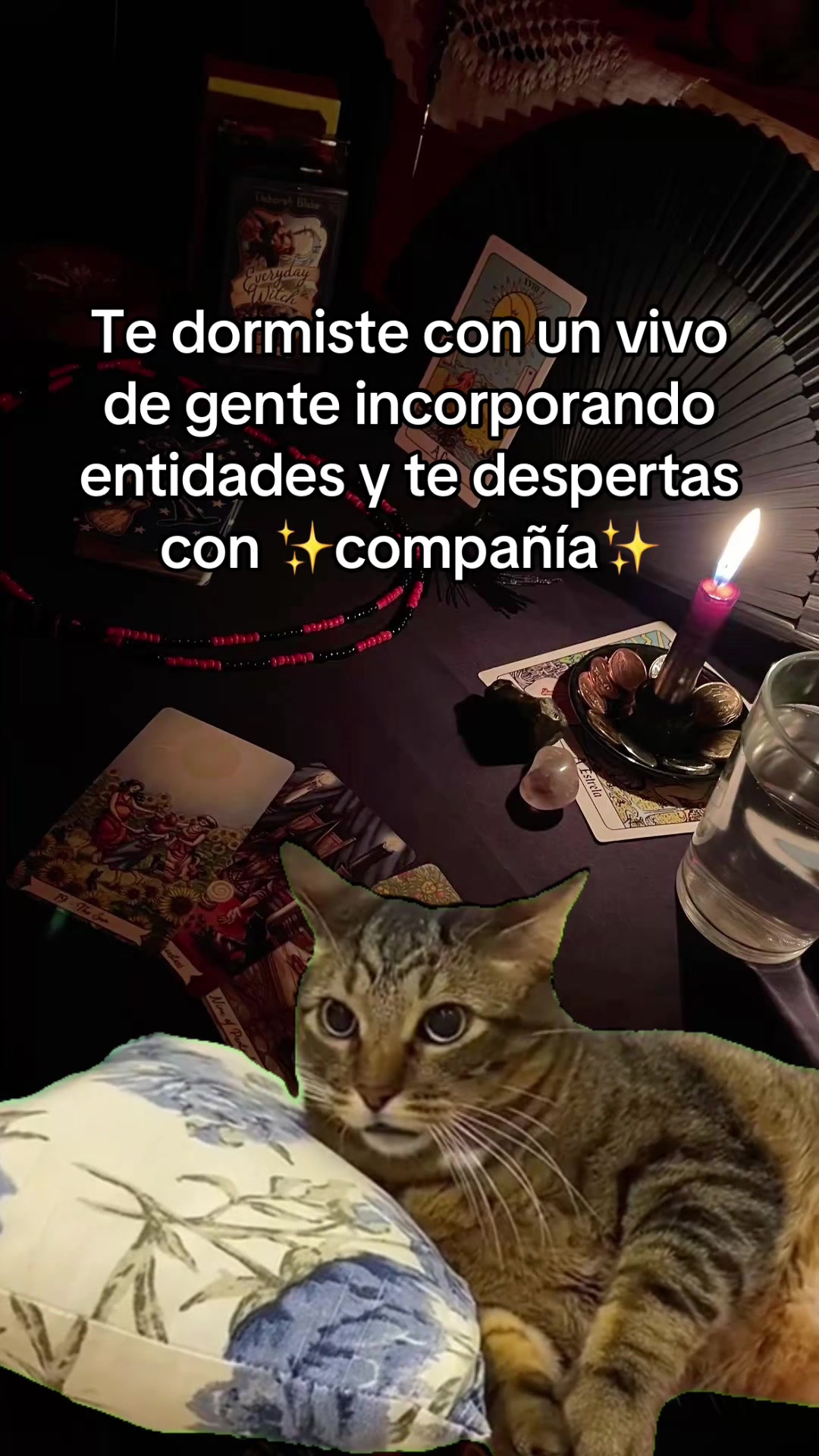 @Bleu