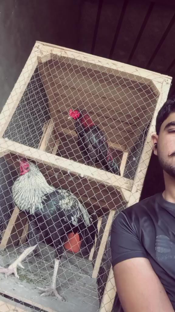 @SADA bahar 🖤❤️😊