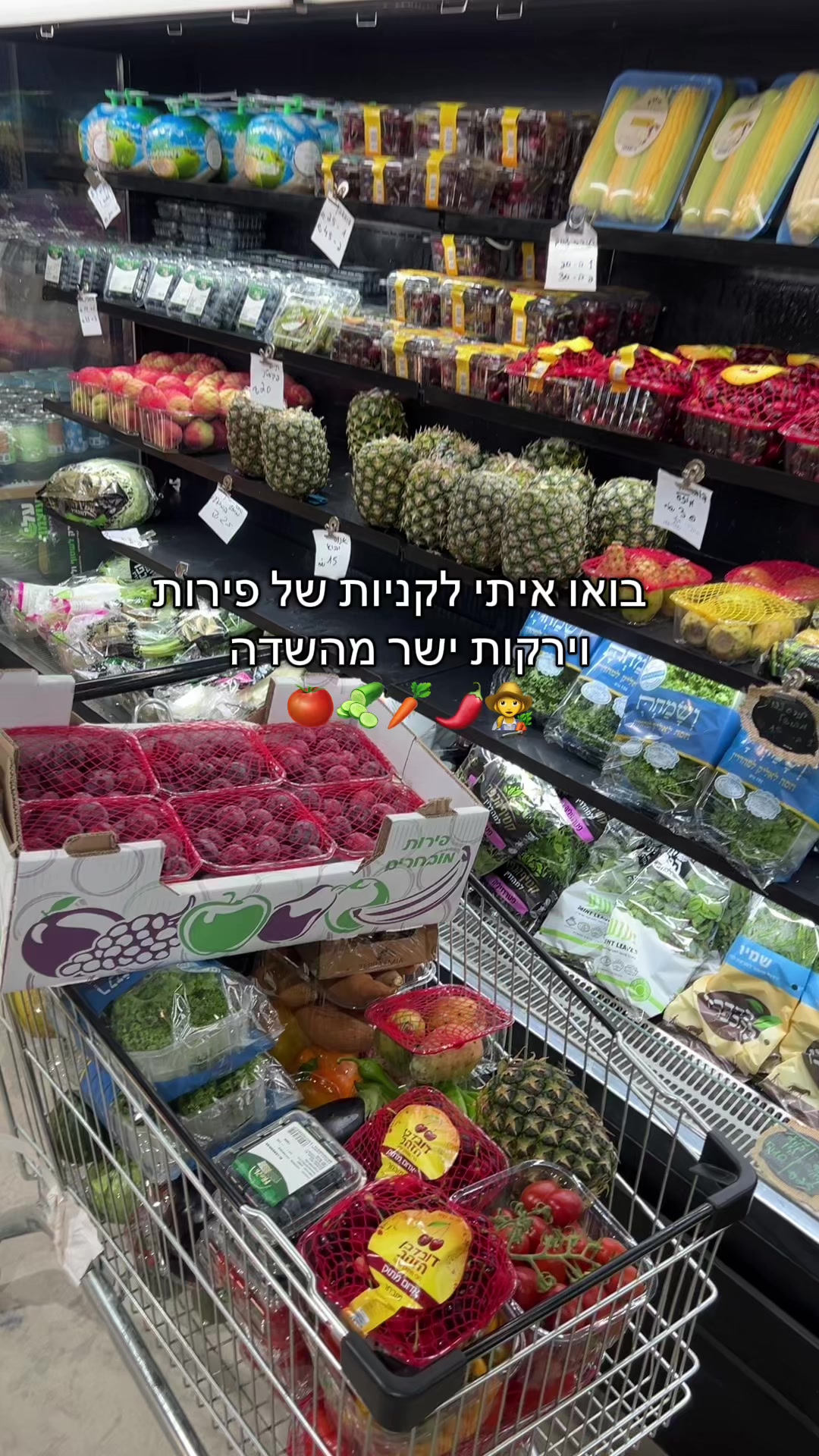 @חני מריאסיס