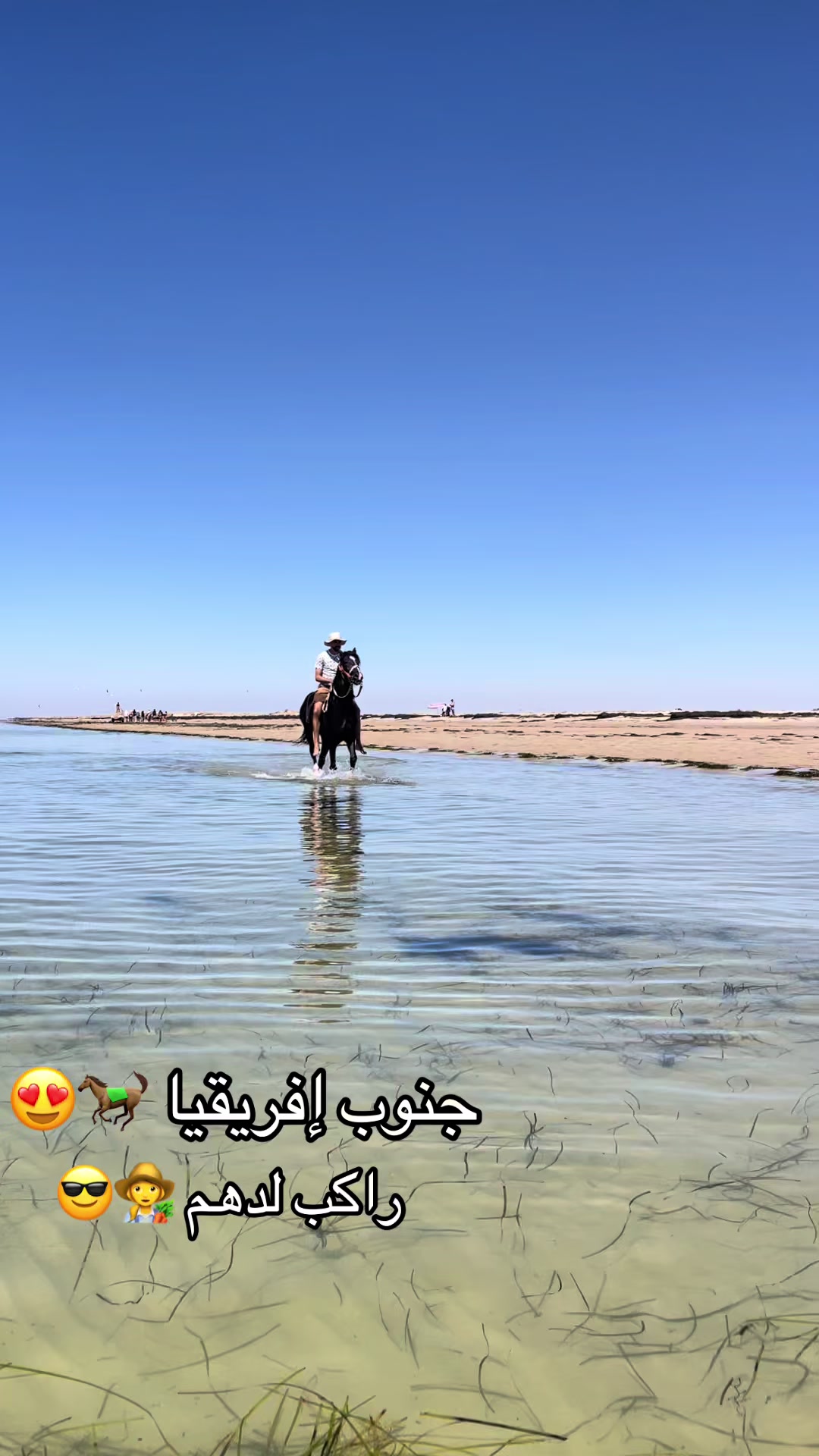 @jasser barhoumi راكب لدهم