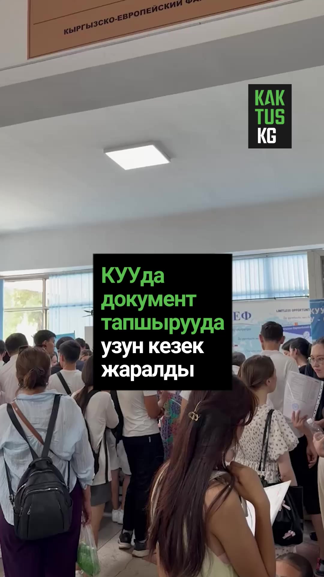 @Kaktus KG