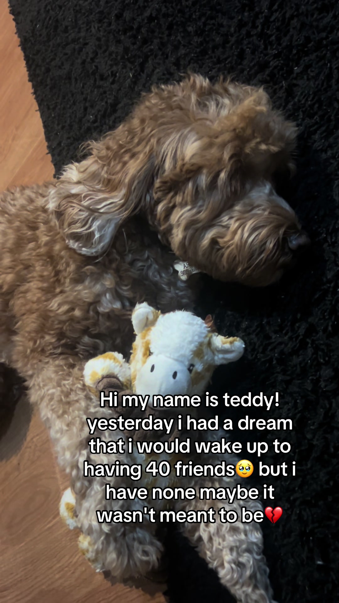 @Goldendoodlelover