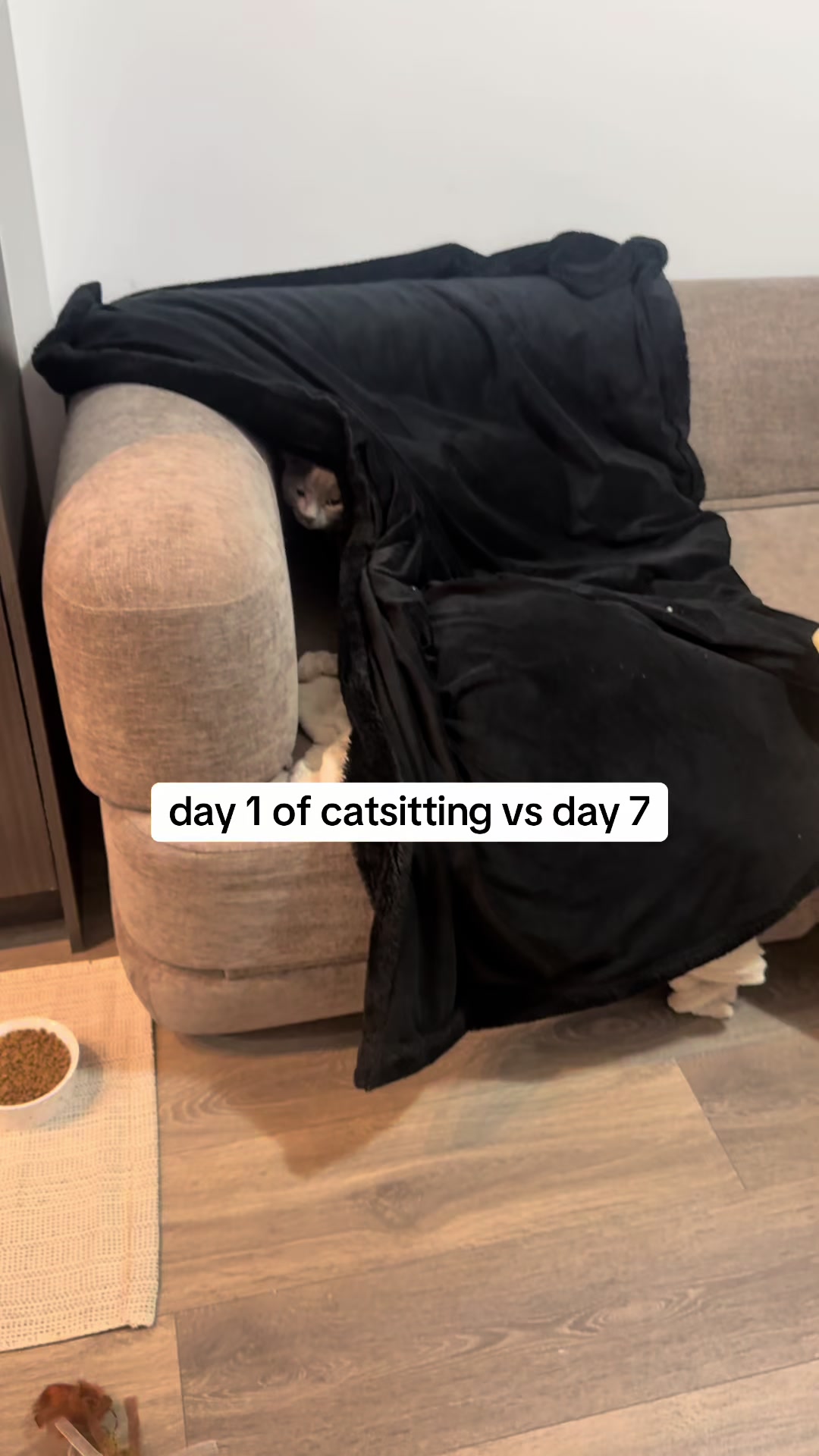 @Emily ✨ Toronto