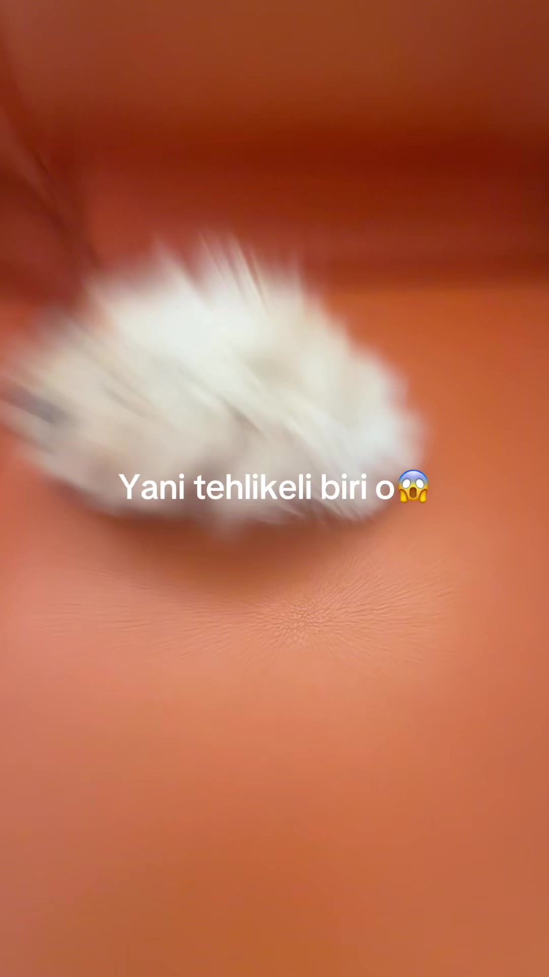 @ঞじòぴé zerya ઈଓᦗ࿐