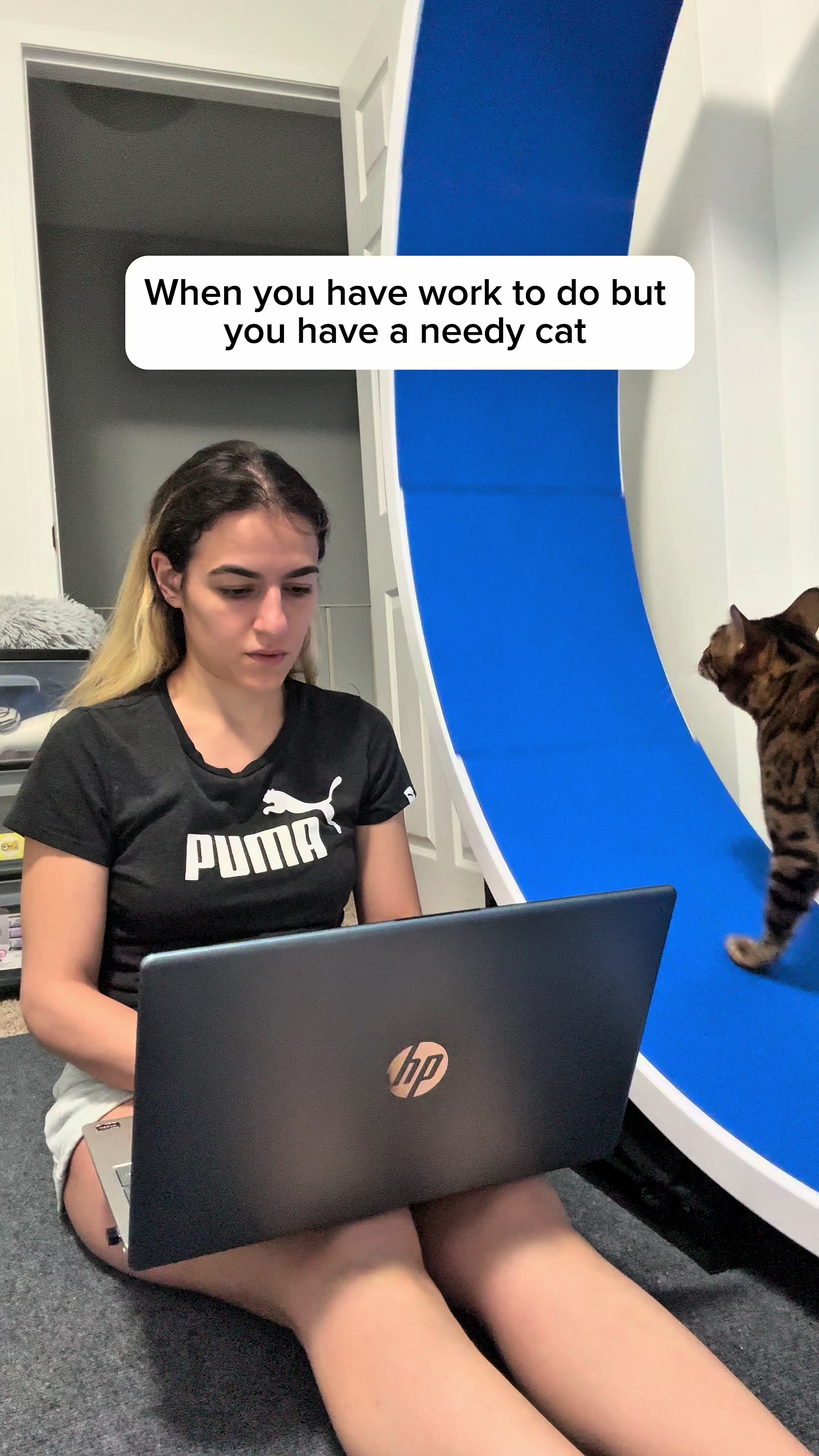 @Three Nawty Cats