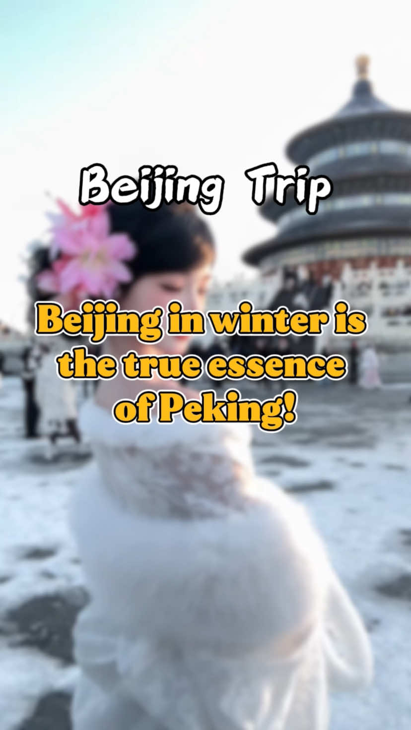 @金马国旅