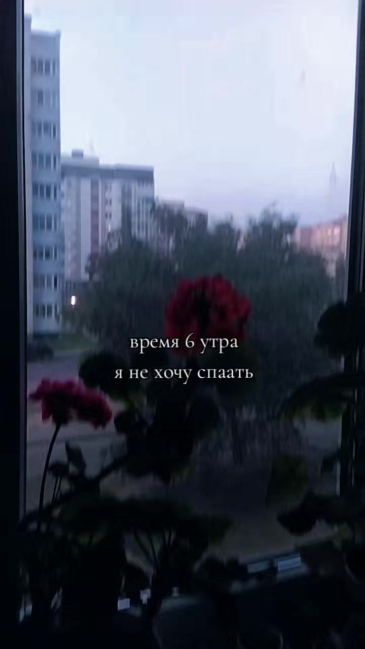 @🪽_Crazy_Cherry_🪽