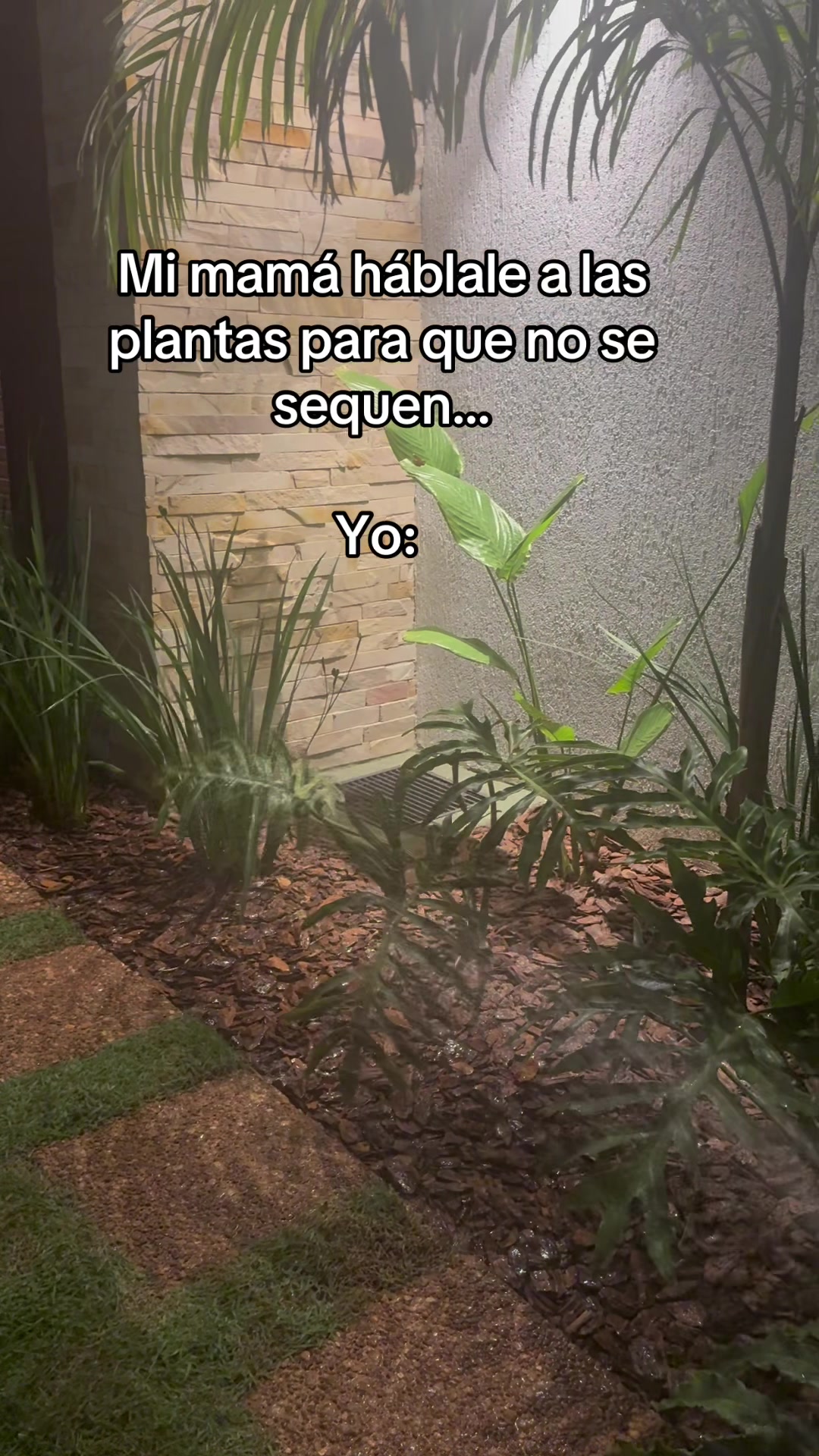 @Emi