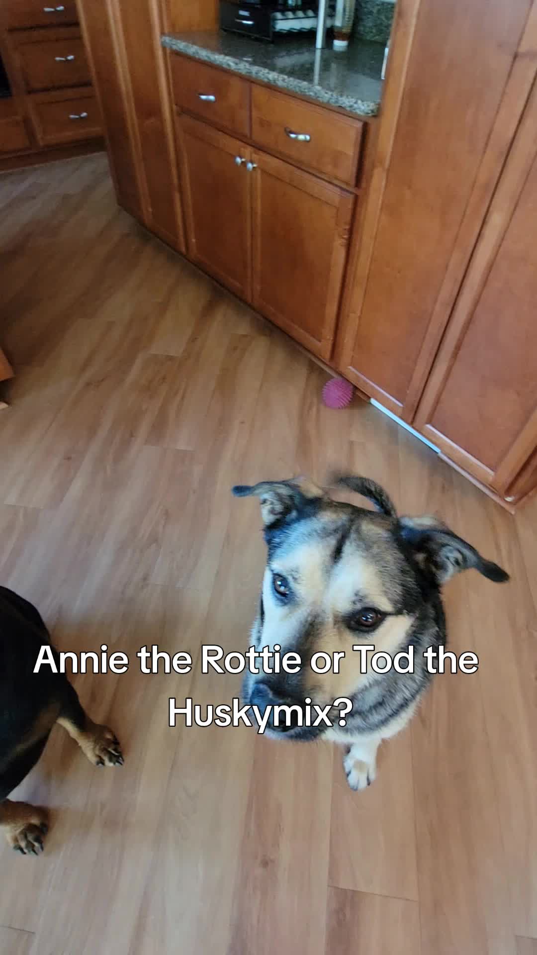@crazymomfiske