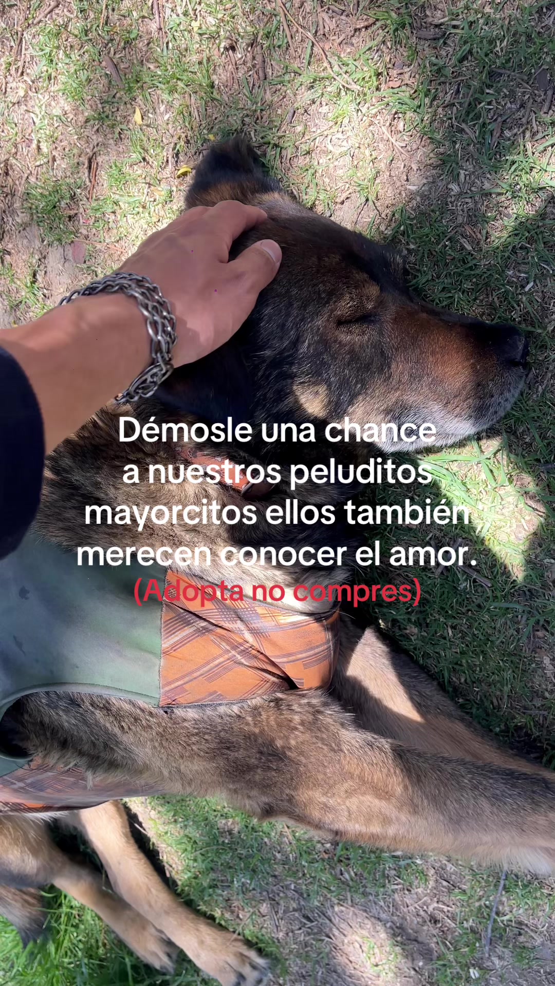 @Dani Franco