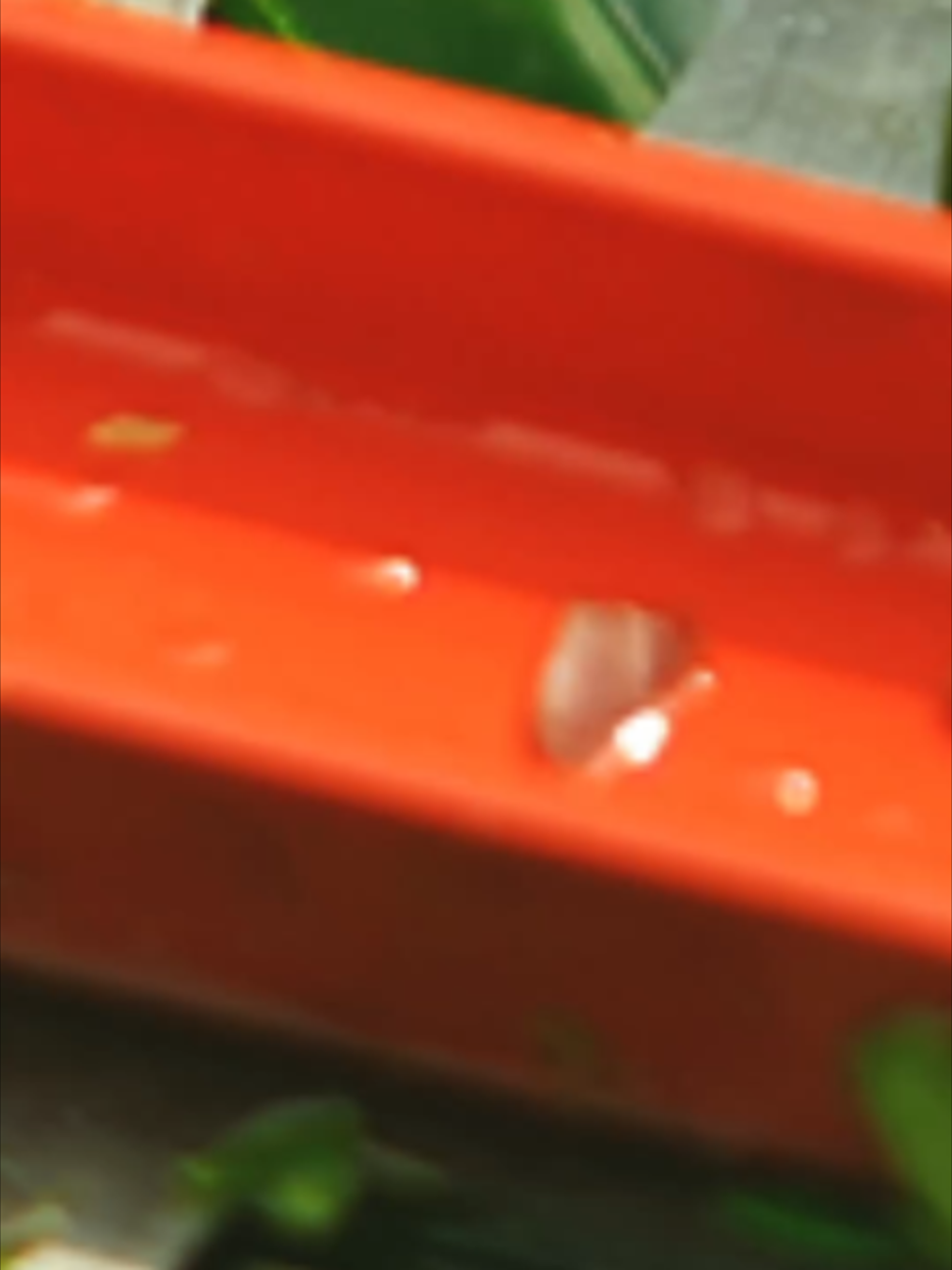 @GreenworksTools