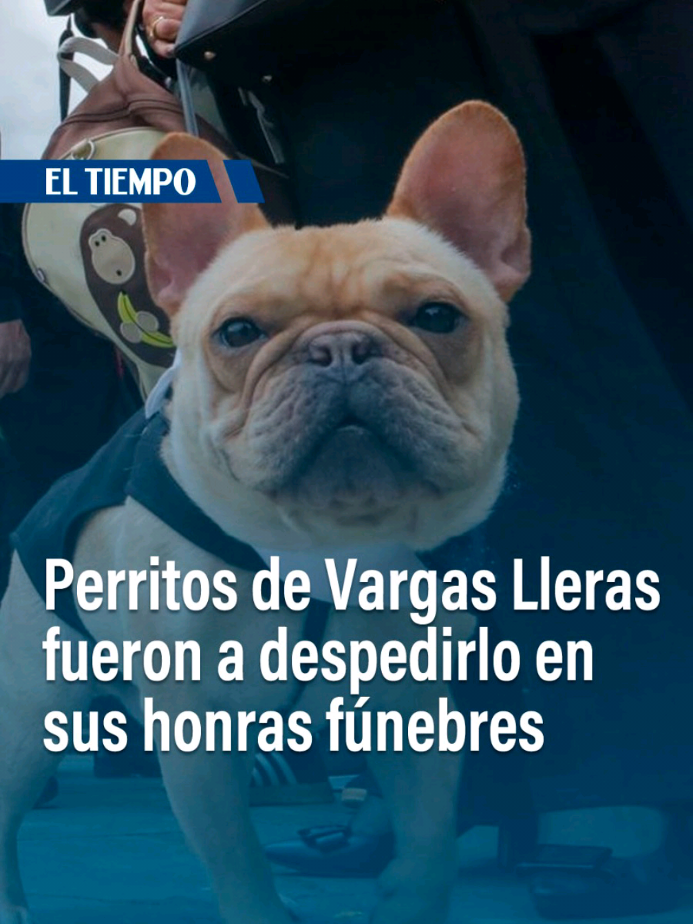 @EL TIEMPO