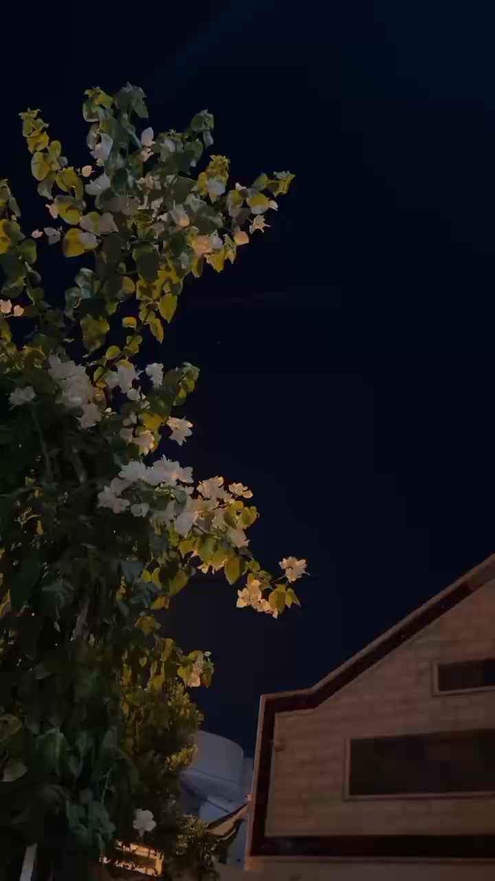 @𝐒ᡣ𐭩࣪⋆