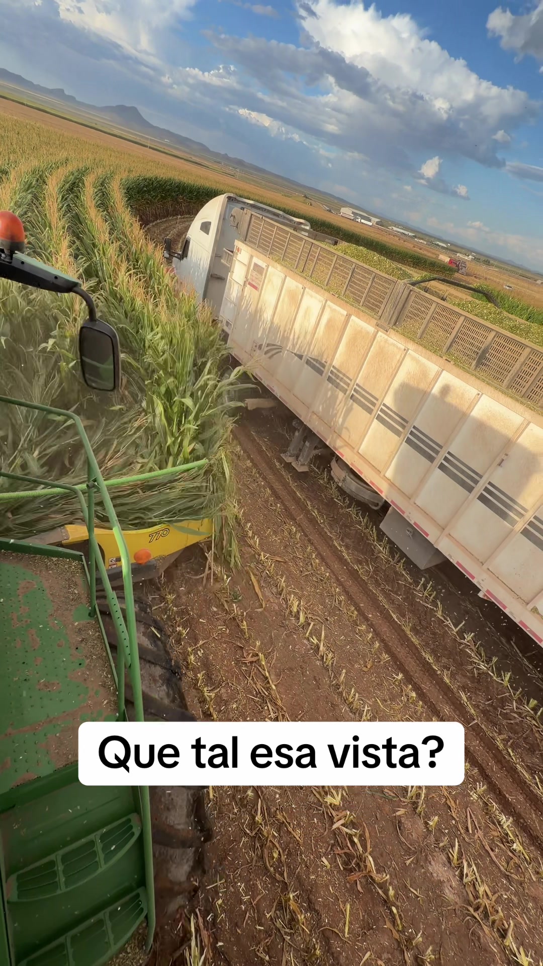 @AgroMenon