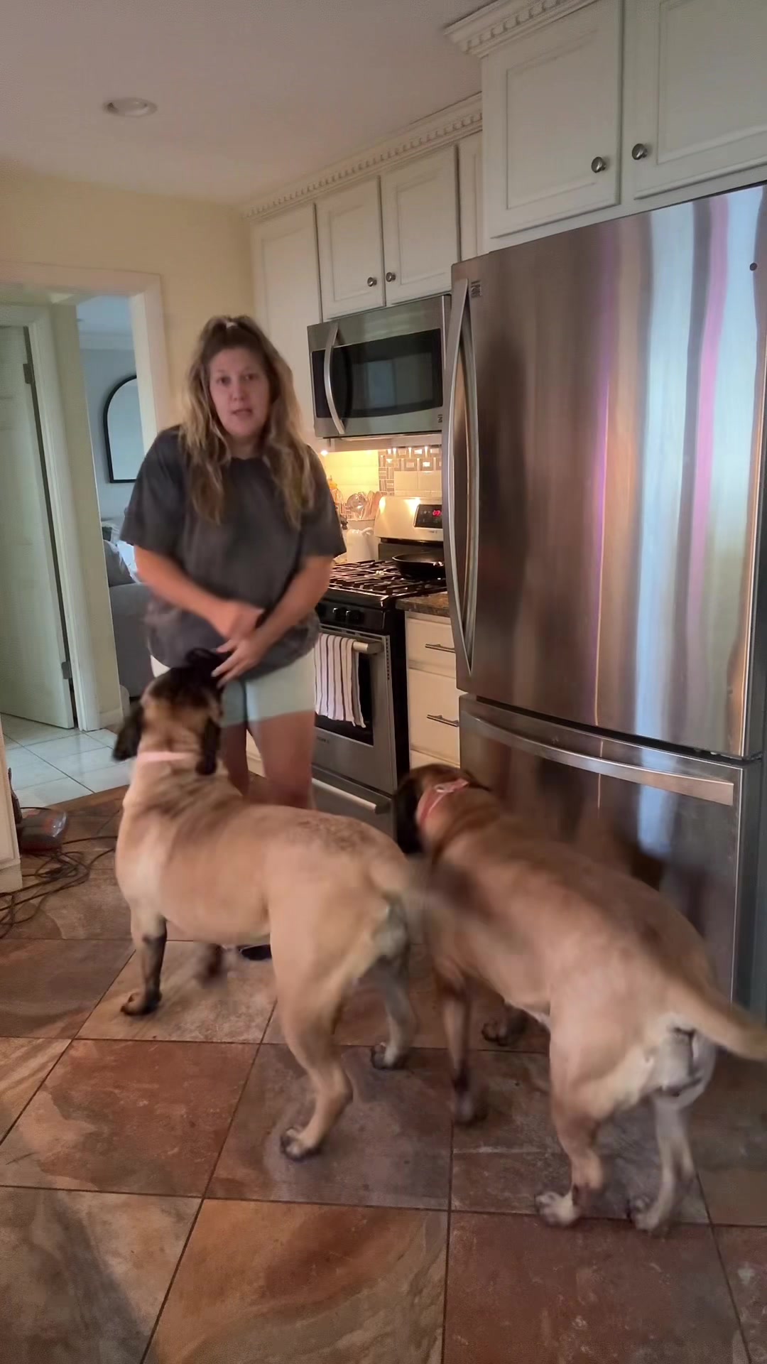 @🐾BullMastiff Mom 🐾💜