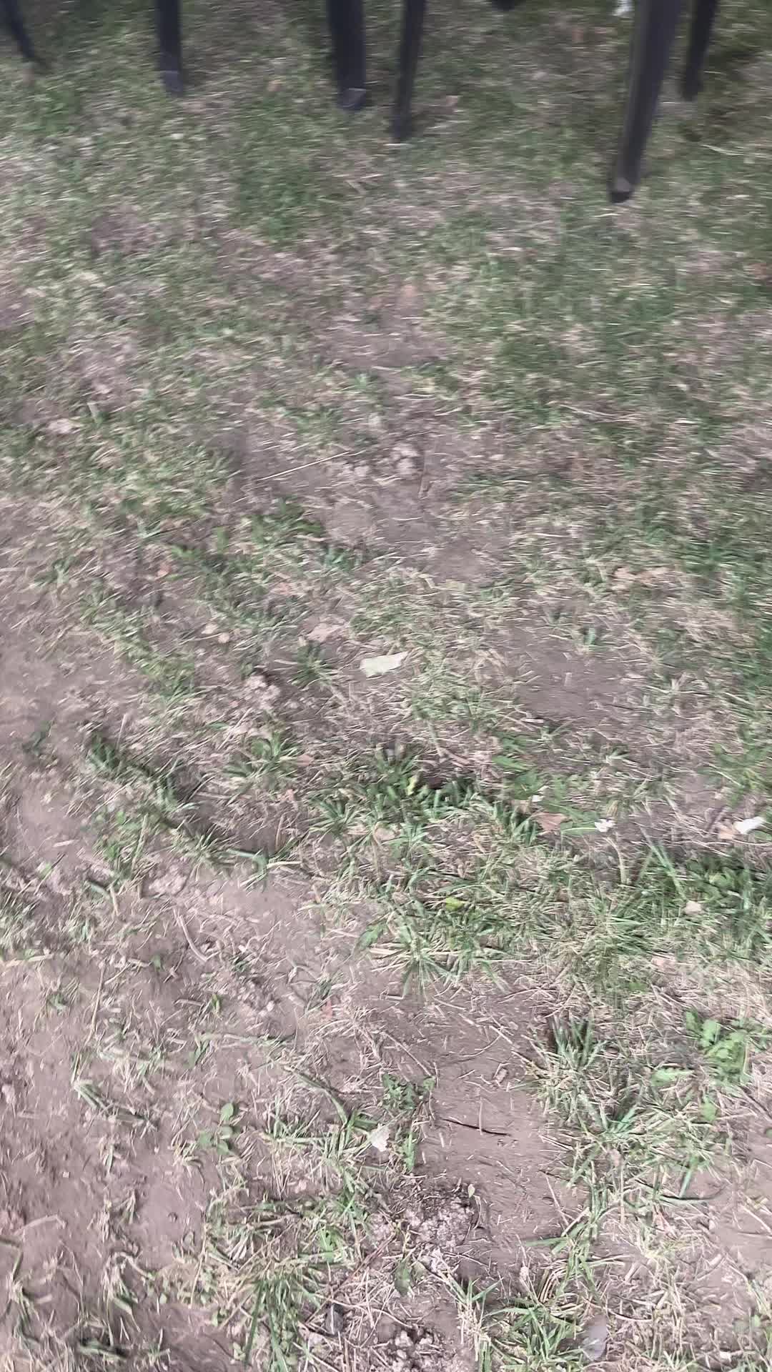 @Ciro首😶🌫️