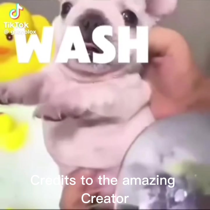 @Emi