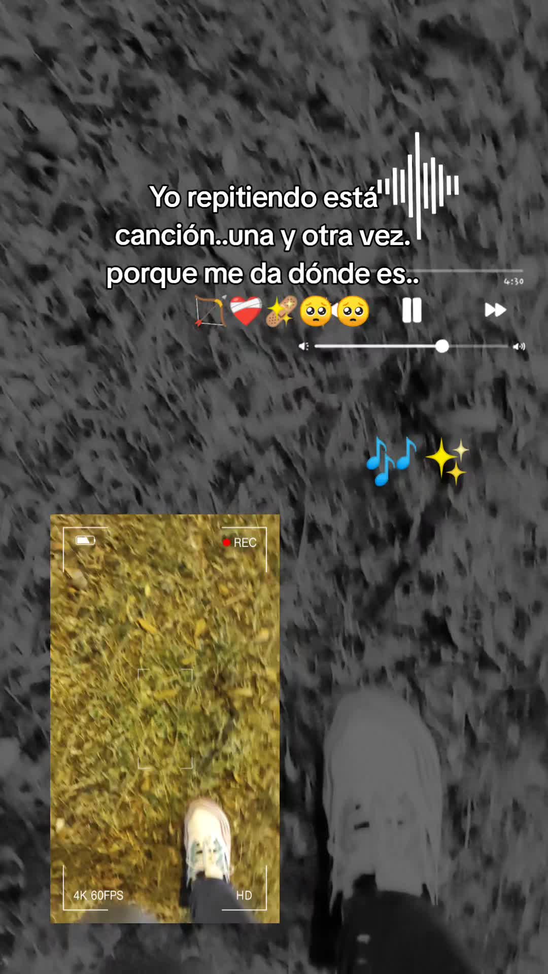 @Sagitario14❤️