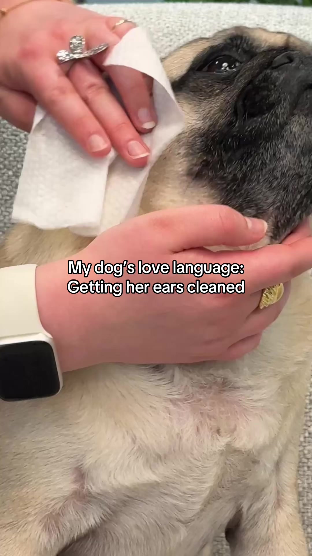 @earthrated