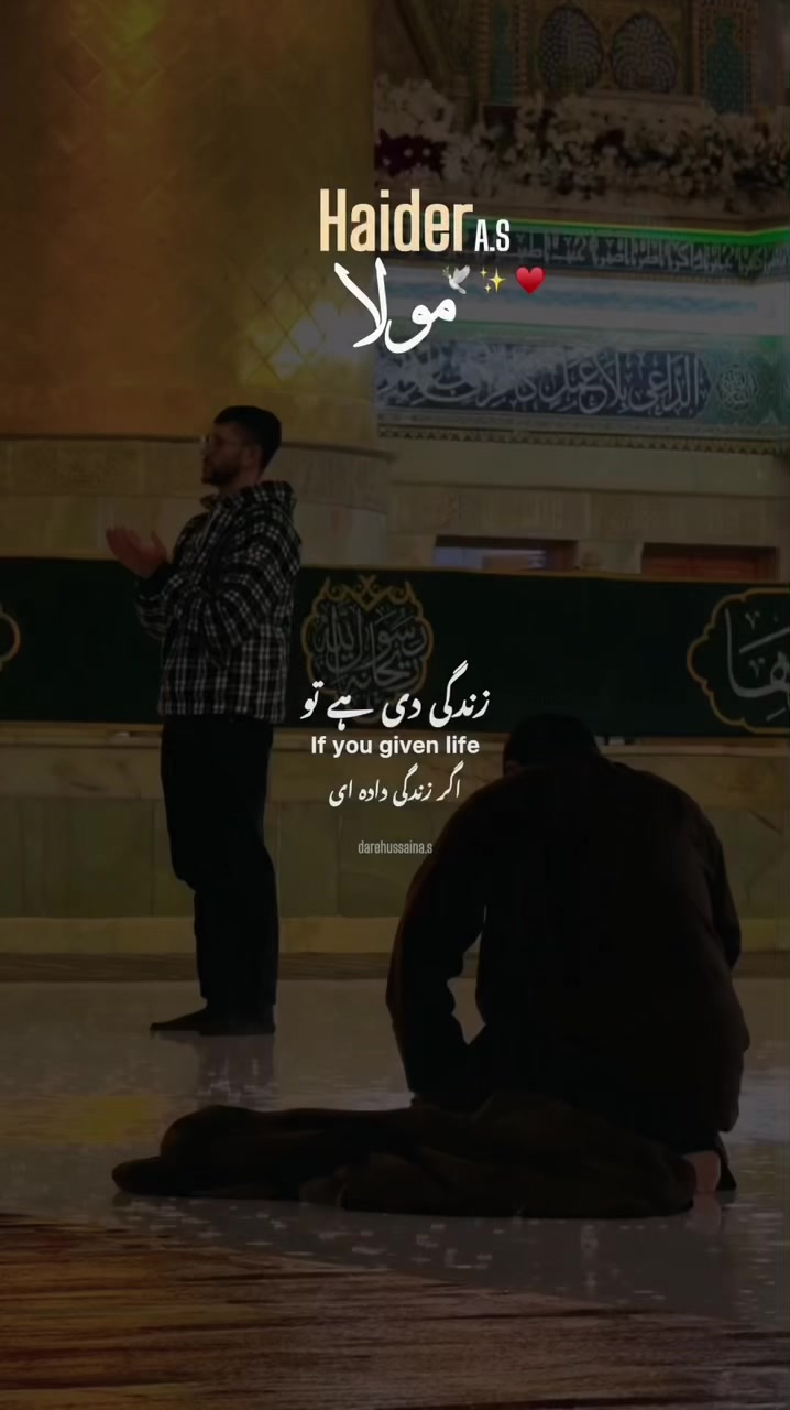 @Dar e Hussain a.s