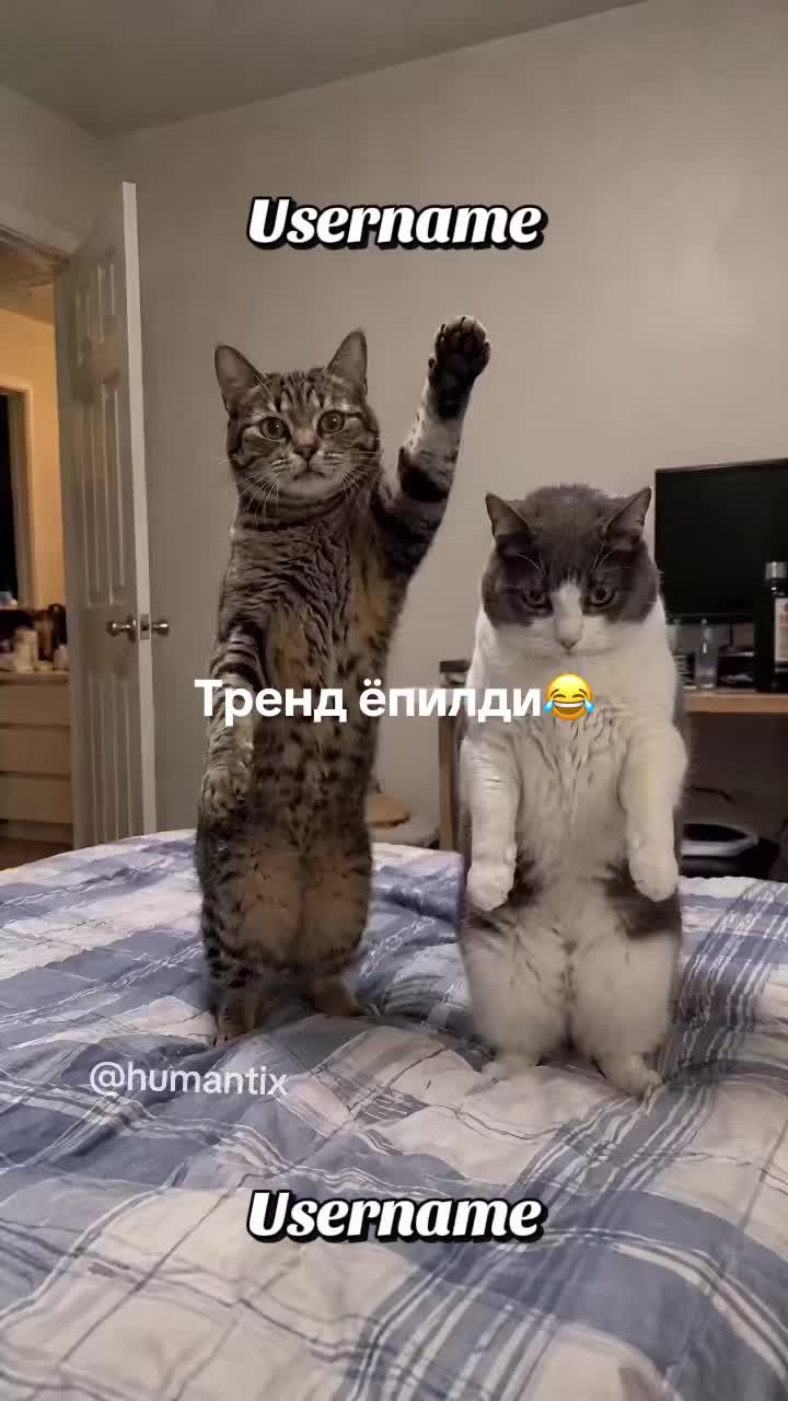 @Наргиз 🌺