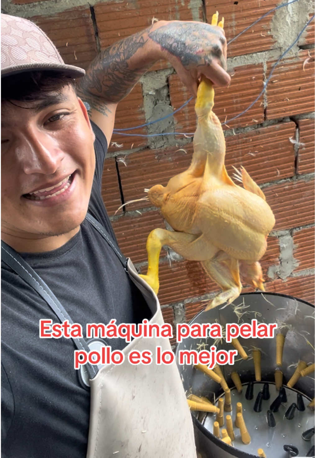 @elmagnatedelospollos