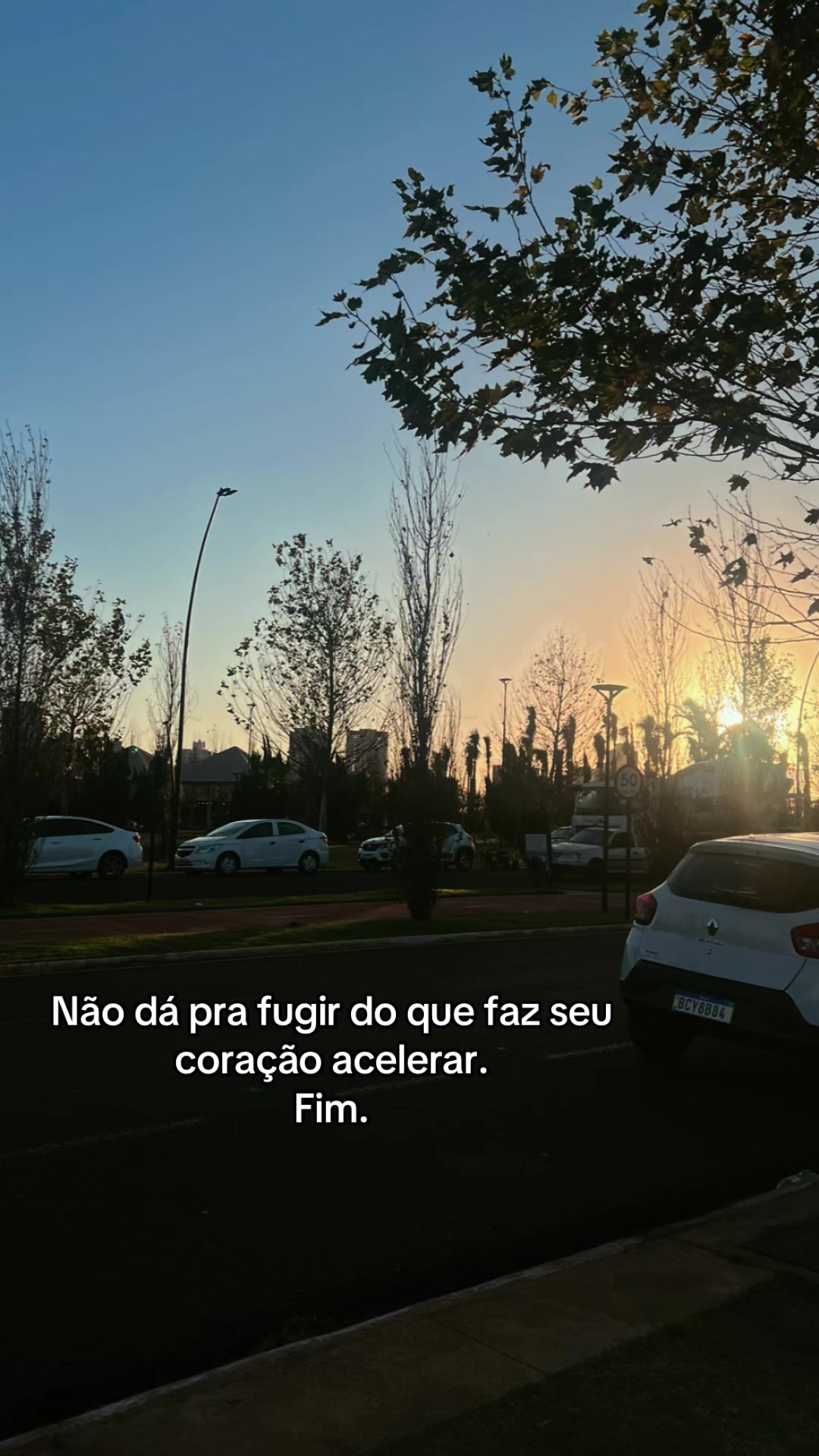@Ana Carolina Moreira 🦋