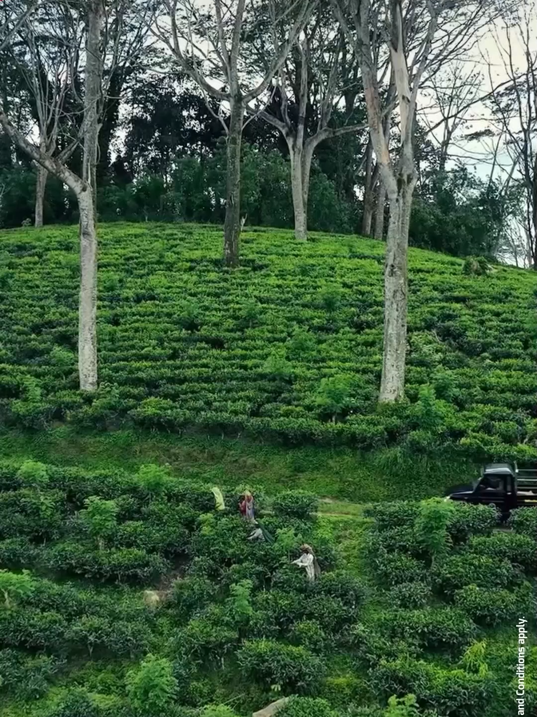 @Ideal Mahindra