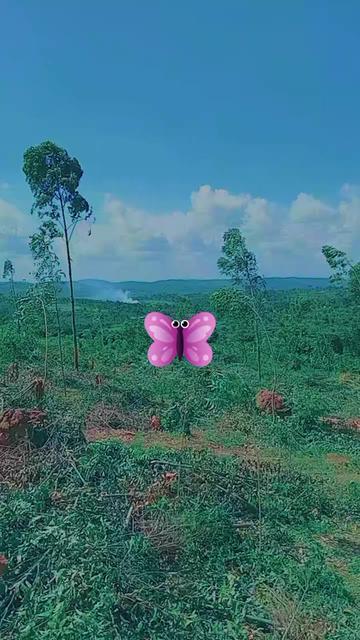 @ALLAH IS GREATEST