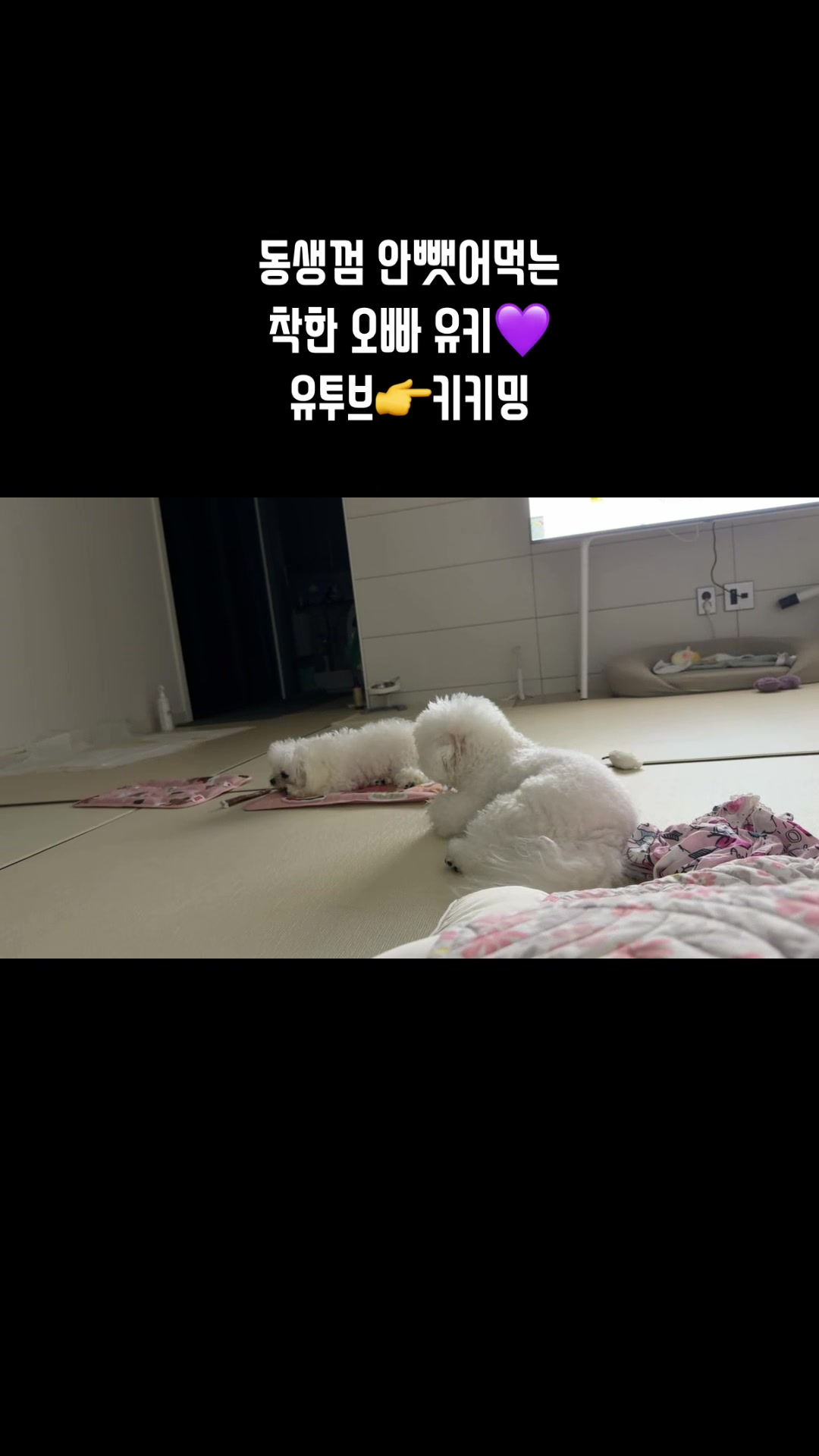 @jeju_kiki
