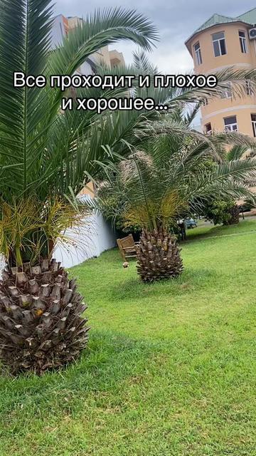 @Надежда
