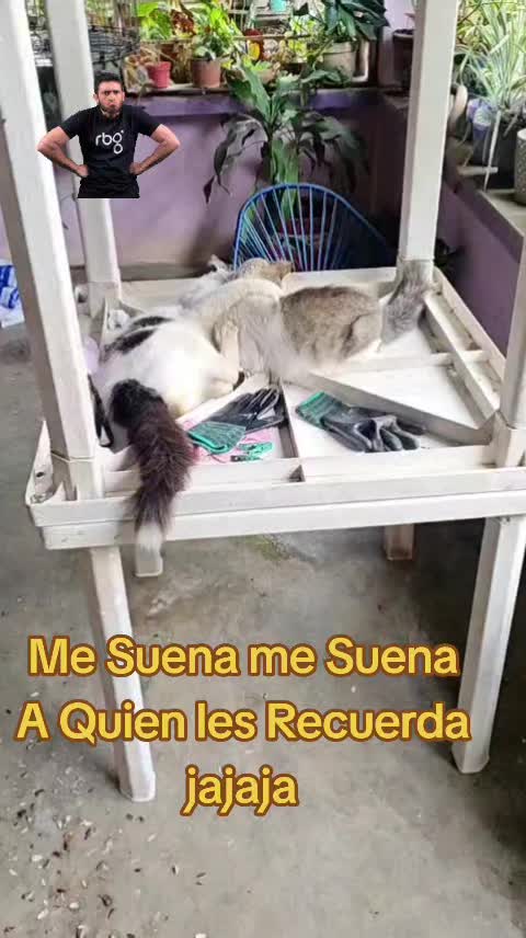 @Irisita