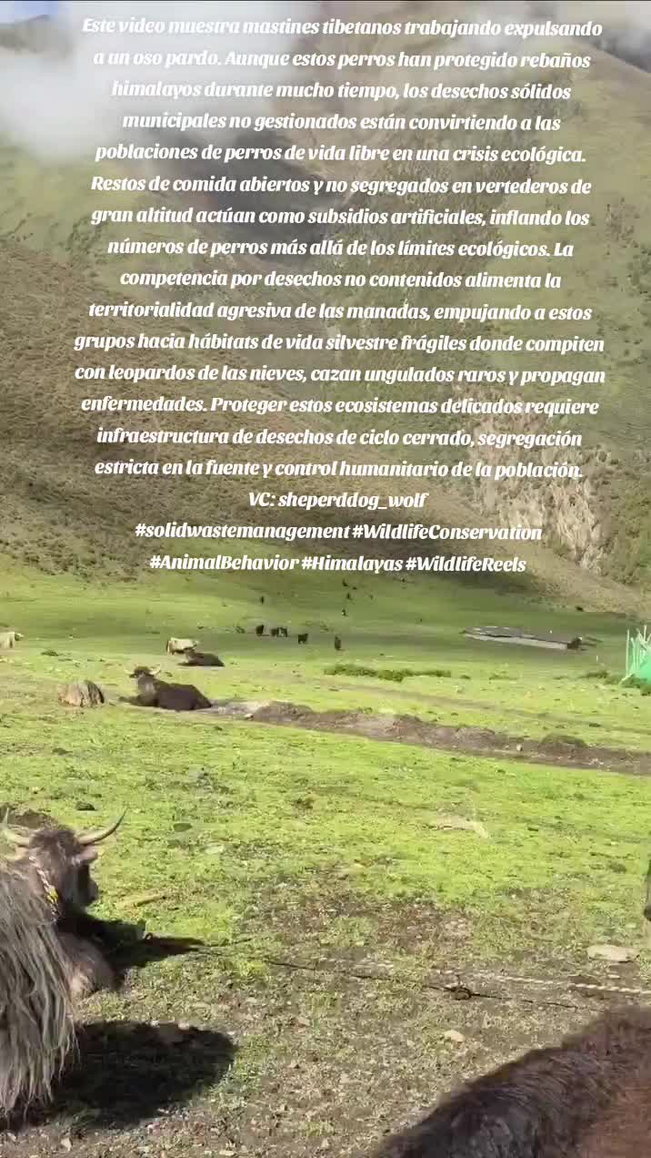 @Roxana Nunez