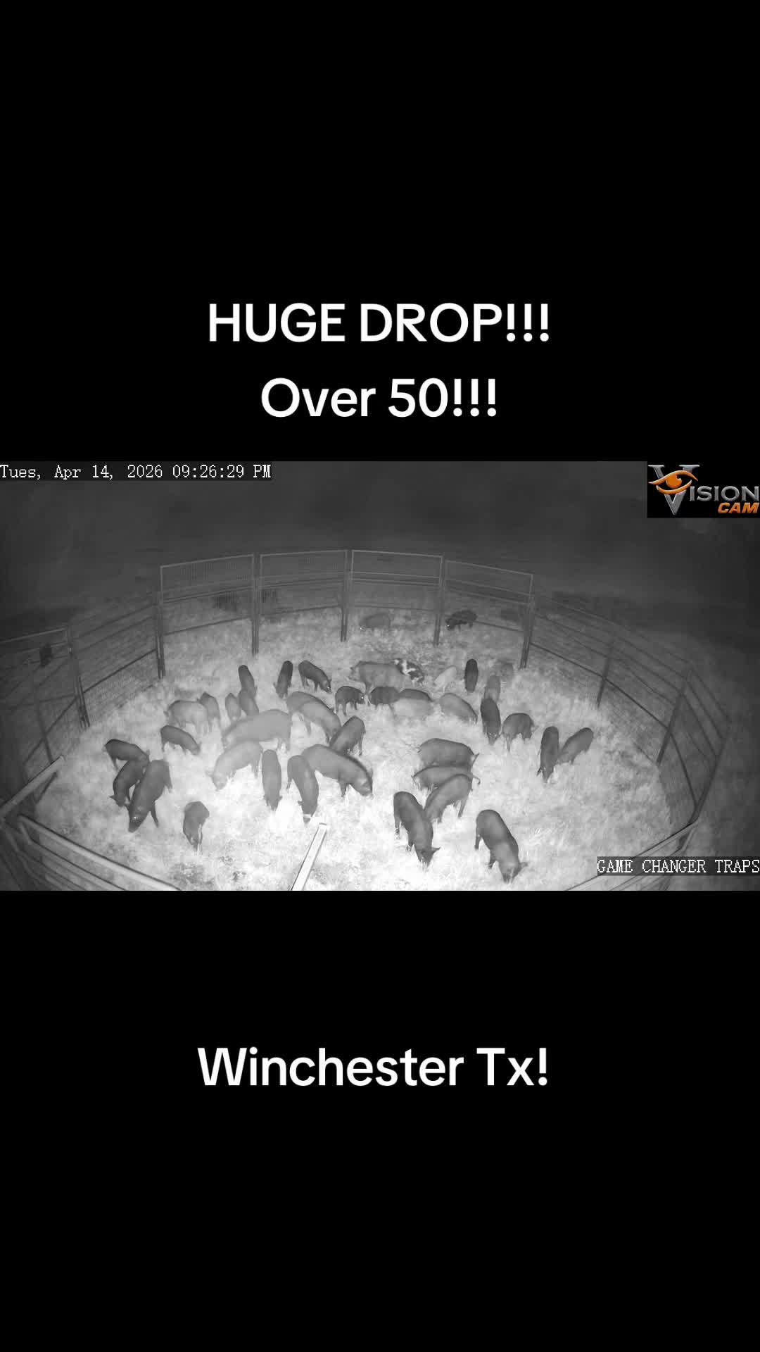 @LoneStarTrappers&Buyers