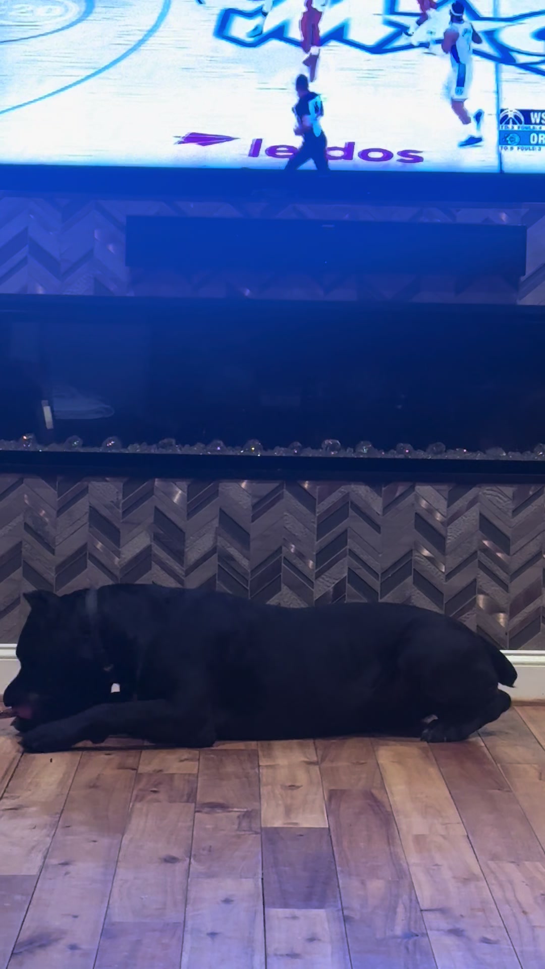 @Irongates Canecorso
