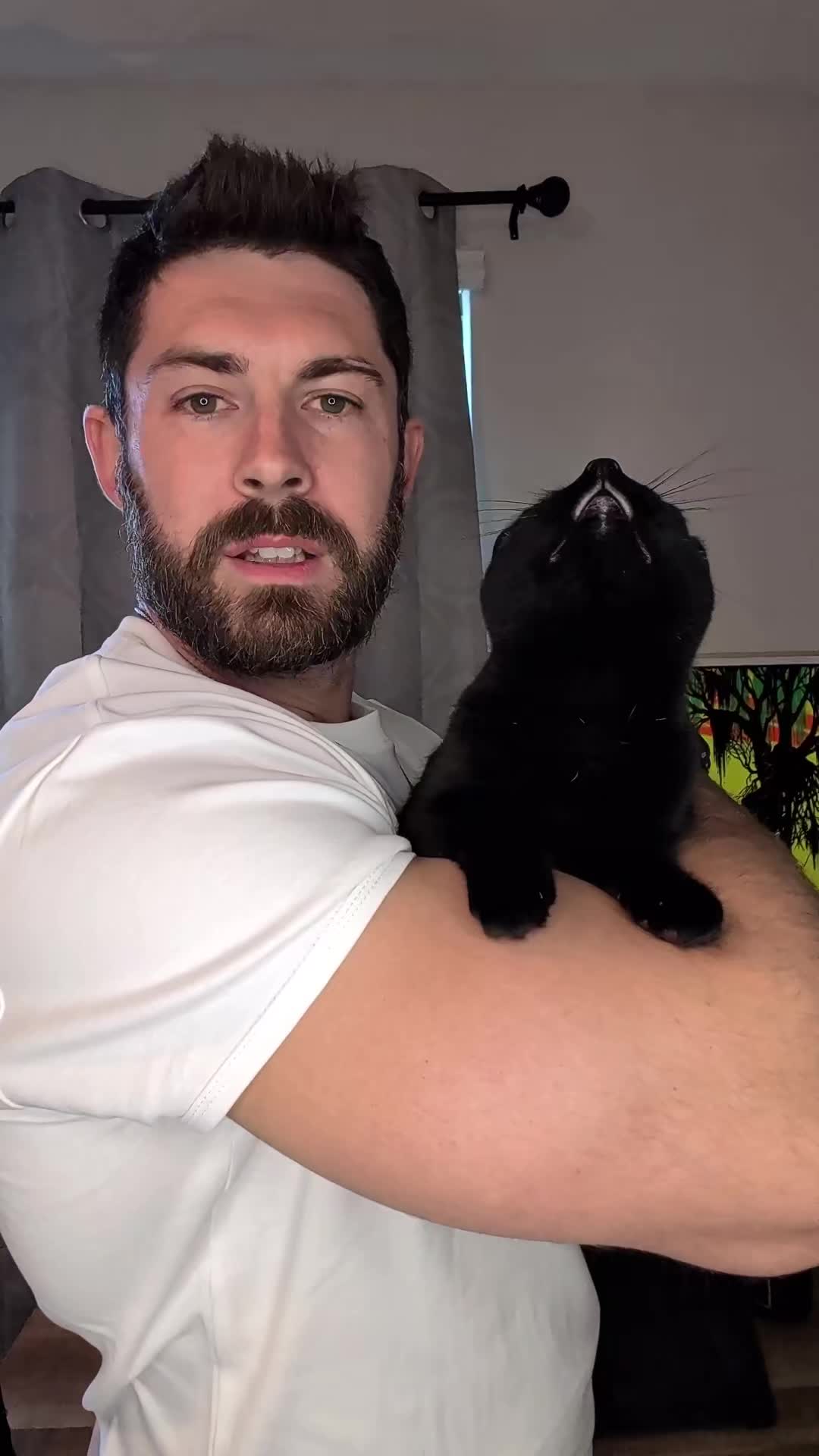 @DillPickle 🥒