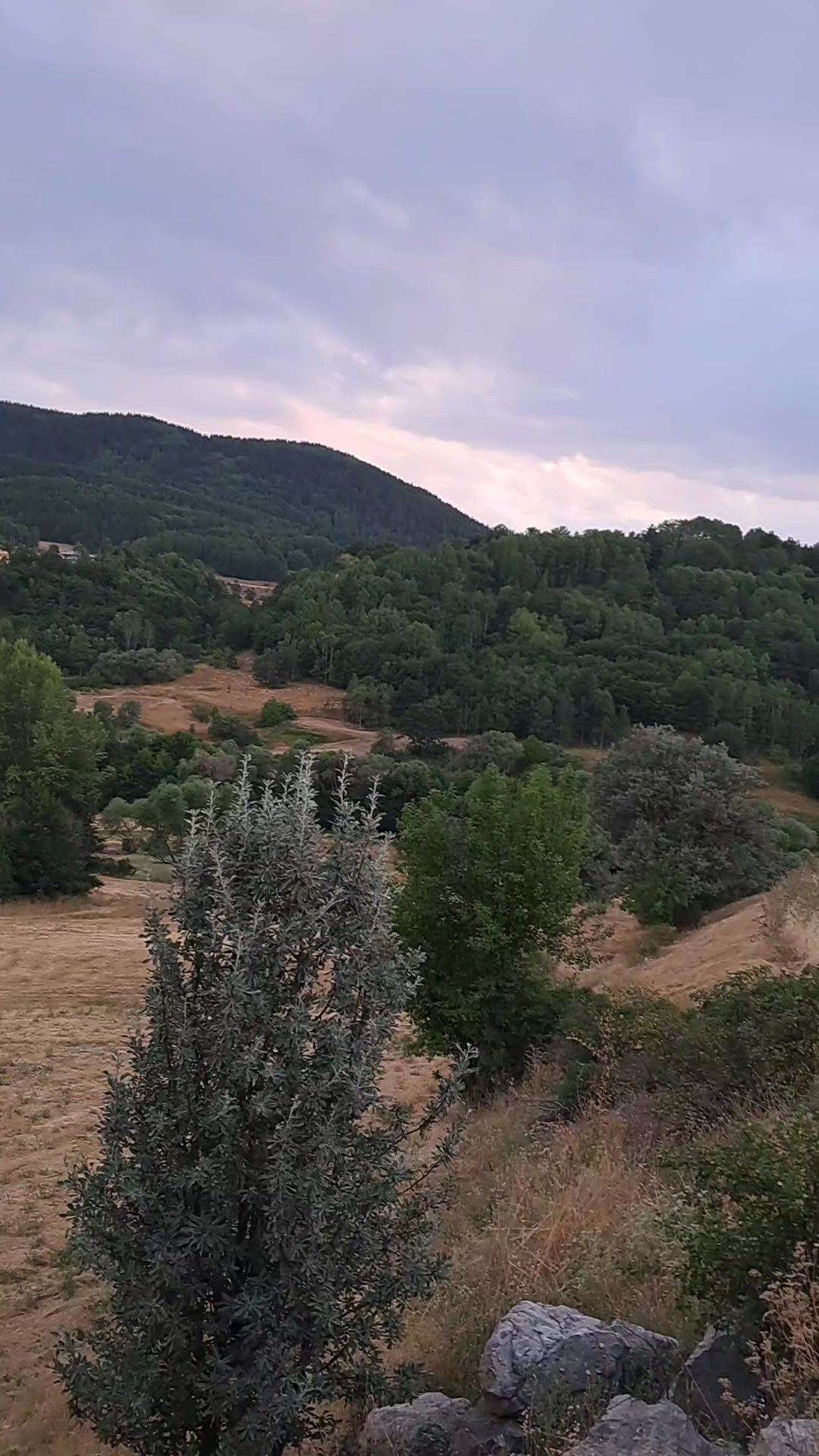 @Kirazli Nazli