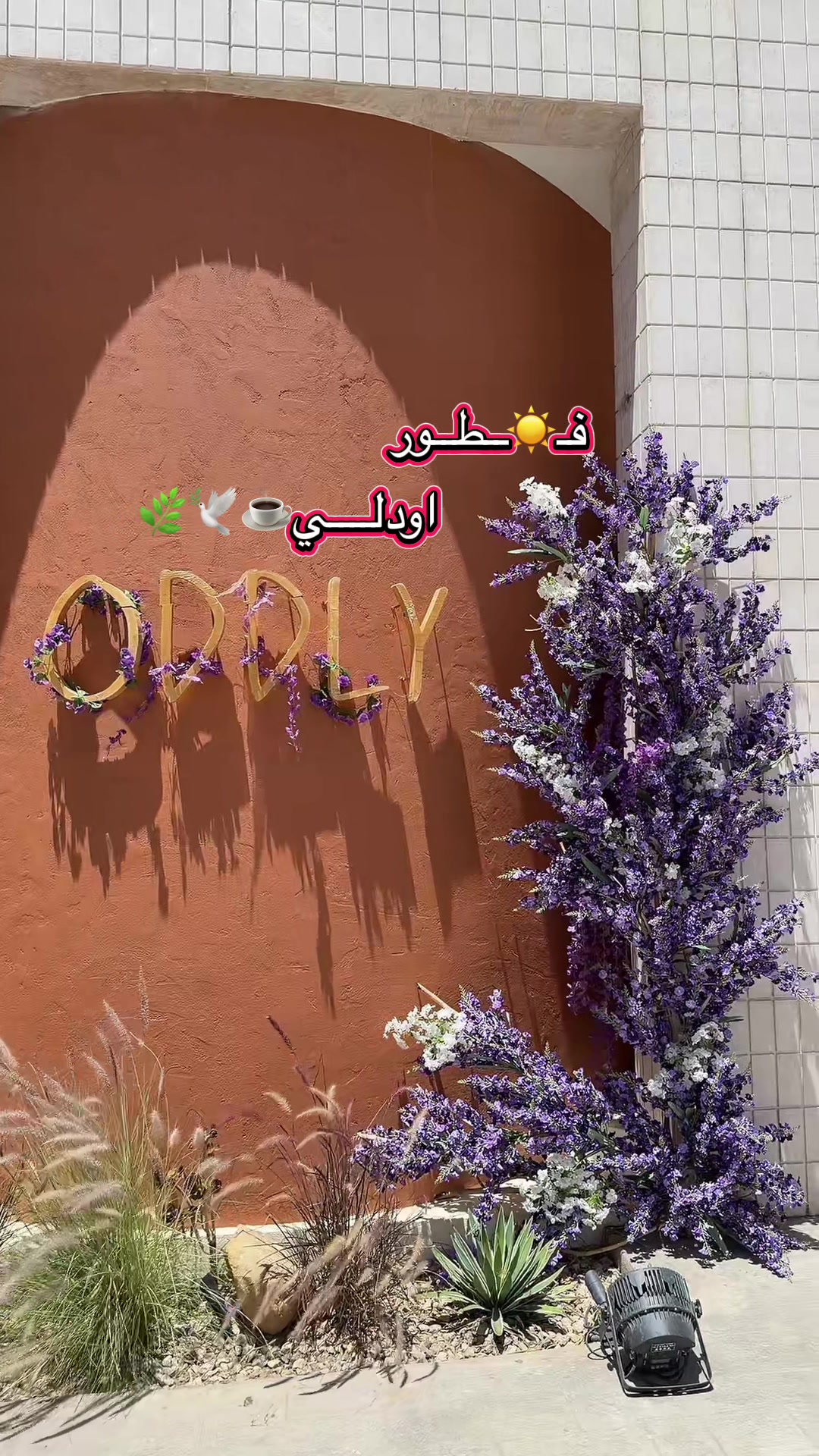 @مهاعسيري 𐙚 𝐵𝑙𝑜𝑔𝑔𝑟
