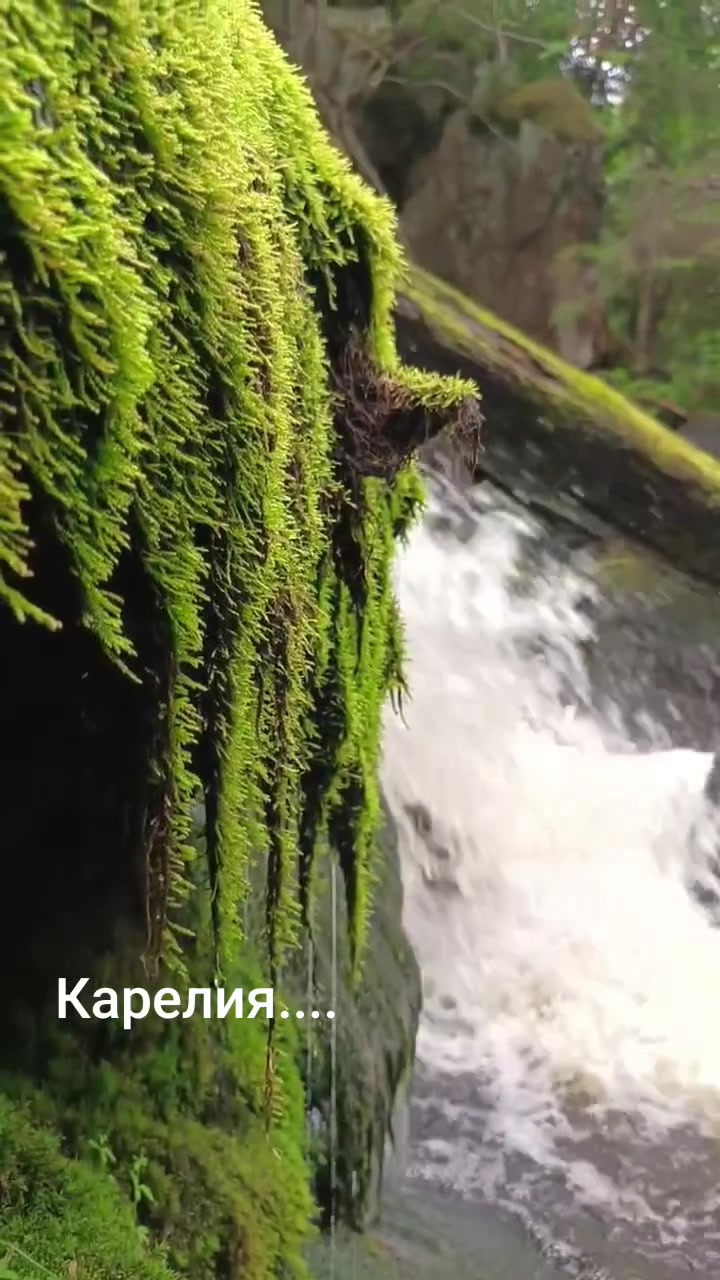 @Дмитрий Бондарь