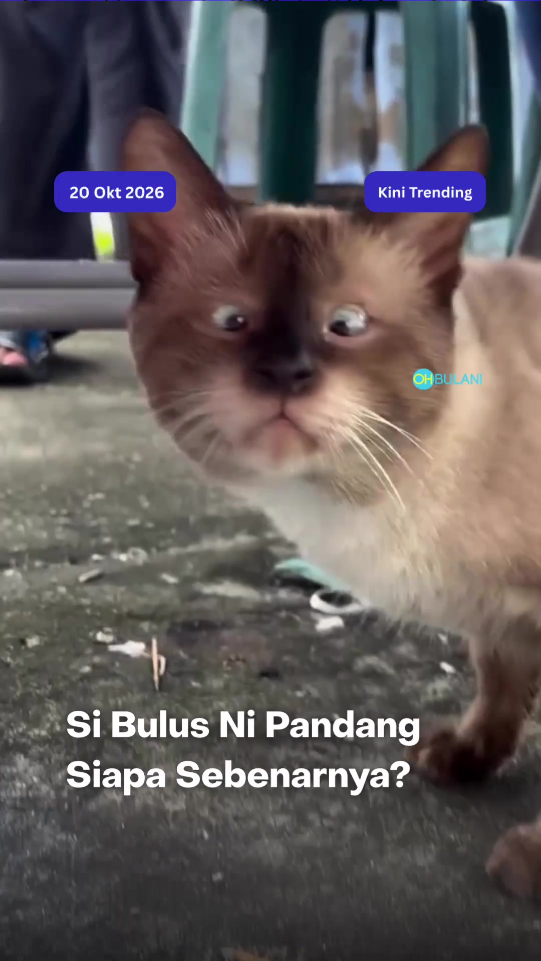 @OHBULAN!