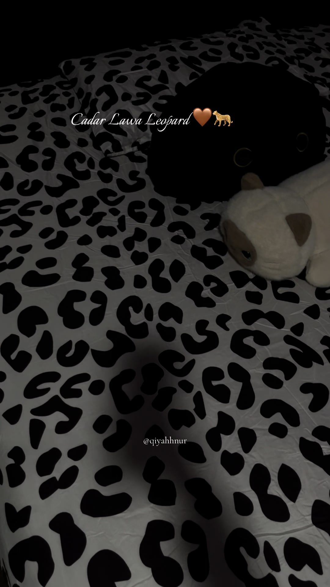 @𝚀