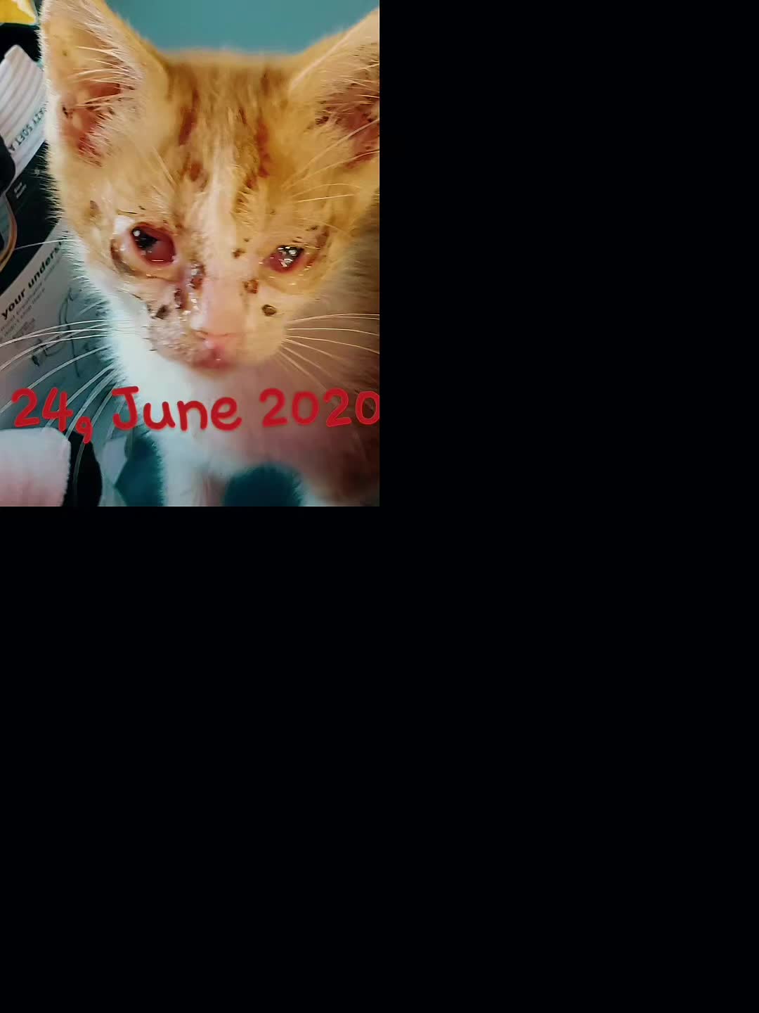 @Lil' Tiger Sylvester Ruediger