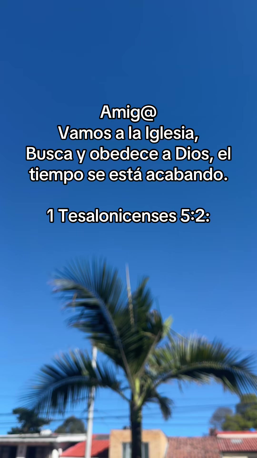 @M Yulieth Tovar🩵