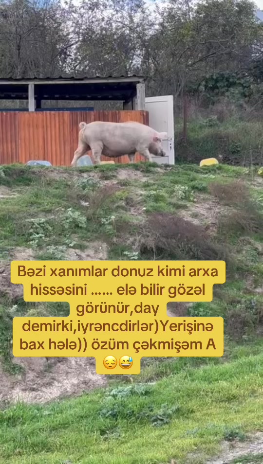 @Quiet SCORPİON🦂İP