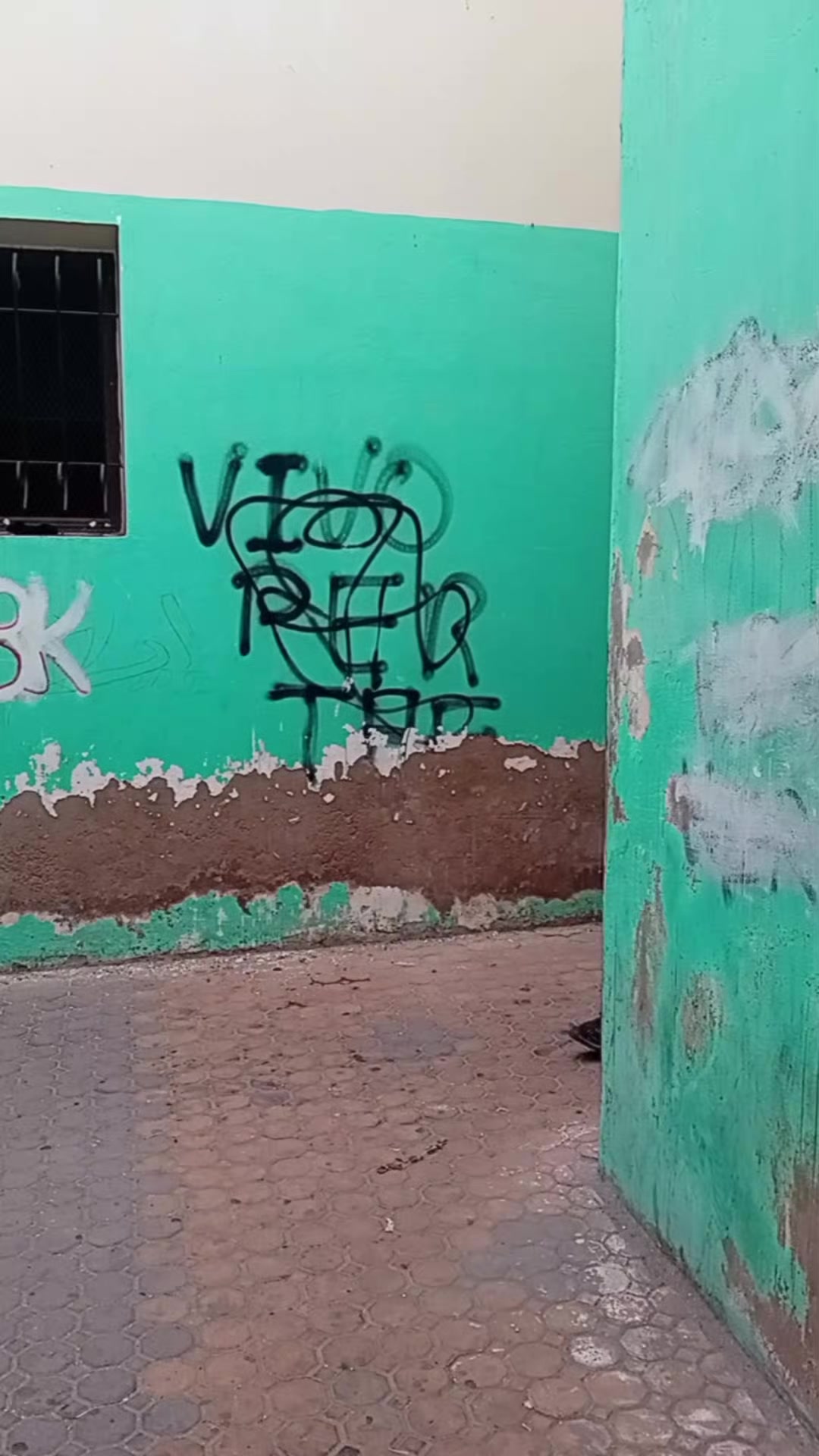 @laila fadili